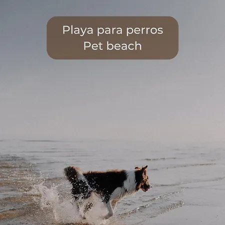 La Gofio En El Centro De Corralejo, Dos Habitaciones, Dos Banos, Terraza Privada Y Wi-fi Lägenhet Corralejo