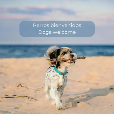 La Gofio En El Centro De Corralejo, Dos Habitaciones, Dos Baños, Terraza Privada Y Wi-fi Corralejo